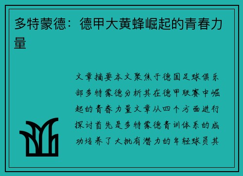 多特蒙德：德甲大黄蜂崛起的青春力量