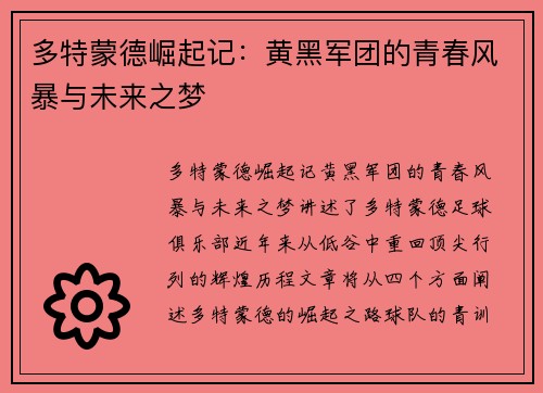 多特蒙德崛起记：黄黑军团的青春风暴与未来之梦