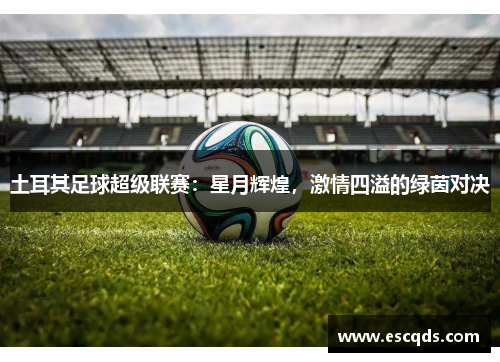 土耳其足球超级联赛：星月辉煌，激情四溢的绿茵对决