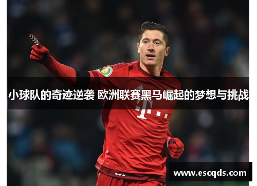 小球队的奇迹逆袭 欧洲联赛黑马崛起的梦想与挑战