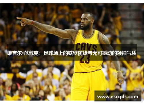 维吉尔·范戴克：足球场上的铁壁防线与无可撼动的领袖气质