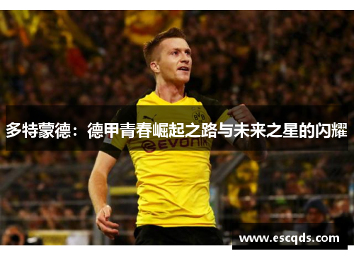 多特蒙德：德甲青春崛起之路与未来之星的闪耀