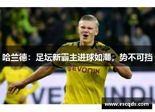 哈兰德：足坛新霸主进球如潮，势不可挡