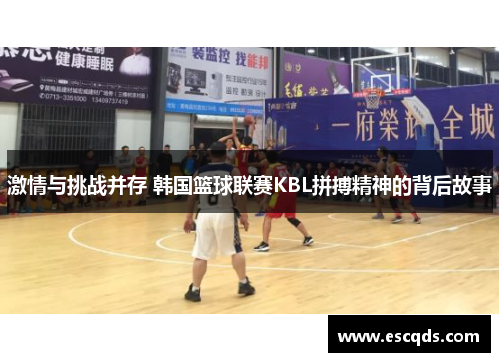 激情与挑战并存 韩国篮球联赛KBL拼搏精神的背后故事